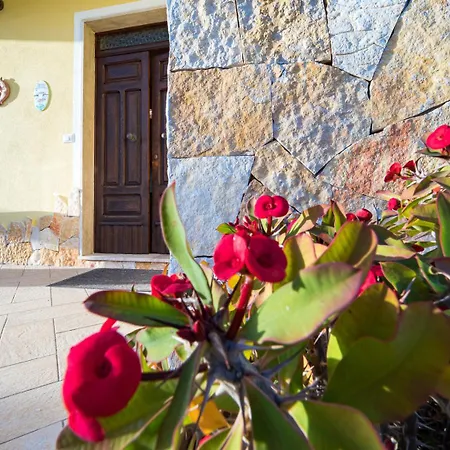 Domus Tilibbas - Klodge * 올비아